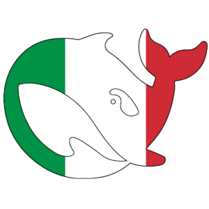 logo deepseek italian