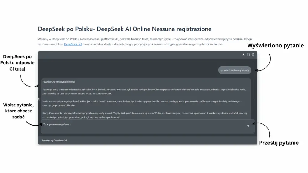 Instrukcja użytkownika DeepSeek po Polsku
